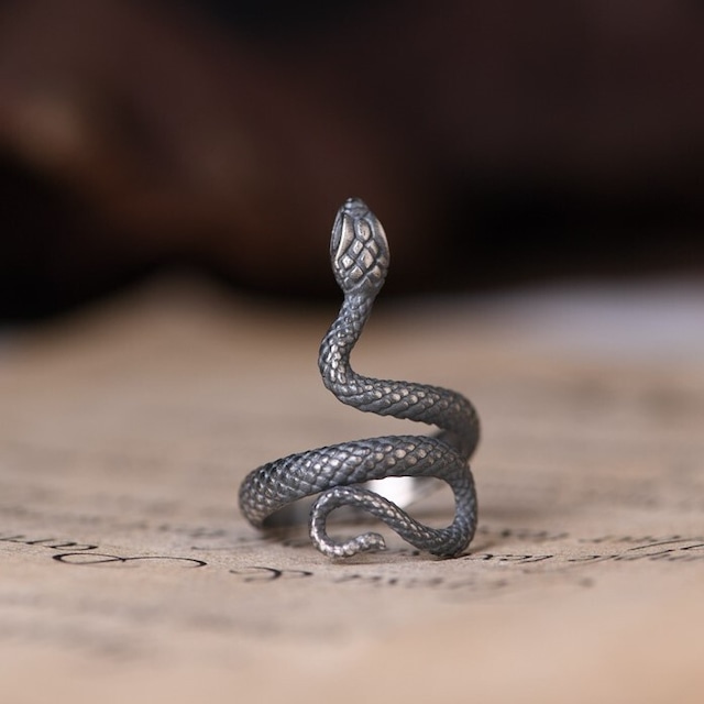 ヘビのリング　金運　へび　蛇　シルバー　R003