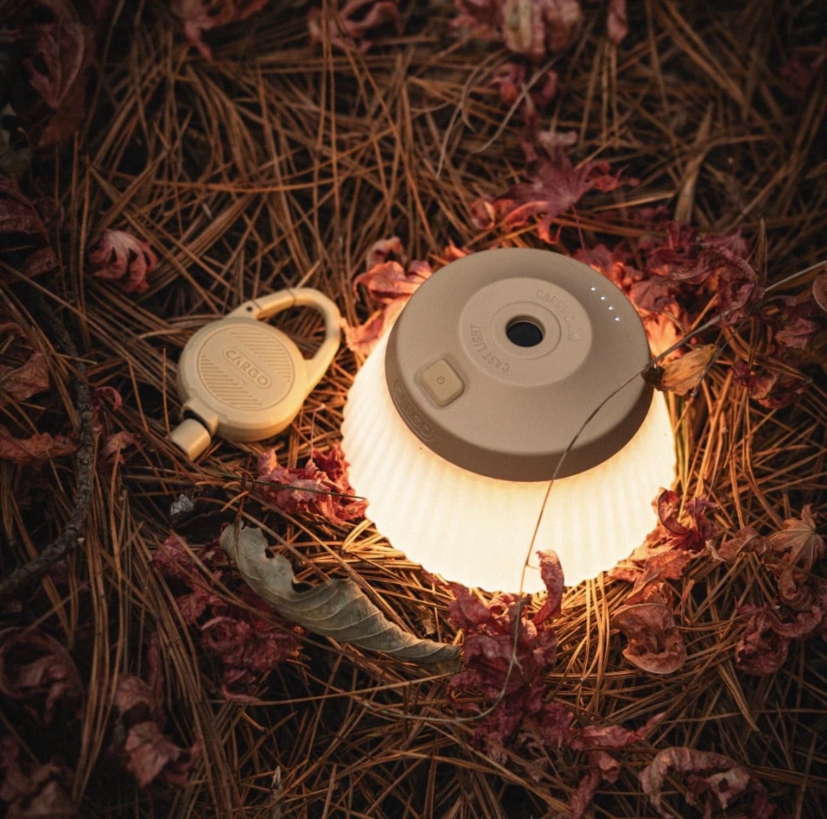 REEL LIGHT PRO リールライトプロ CARGO CONTAINER CARGO CONTAINER】 REEL LIGHT PRO ／ リールライトプロ | Natural