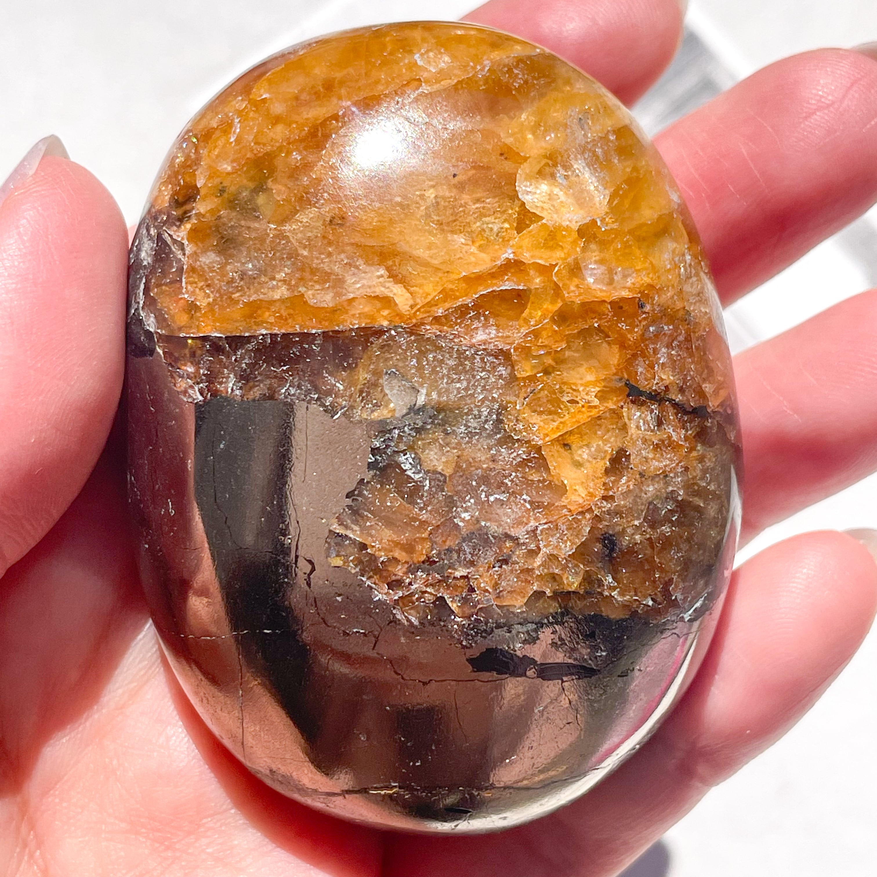 値下げ　レア　高品質　ゴールデンヒーラー　パイライト　共生　スフィア レア 高品質 ゴールデンヒーラー パイライト 共生 スフィア