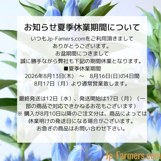 【お知らせ】夏季休業期間について