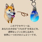 【うちの子ジュエリー】ペットの毛で作る世界に一つのアクセサリー　青空　ネックレス　キーホルダー　バッグチャーム