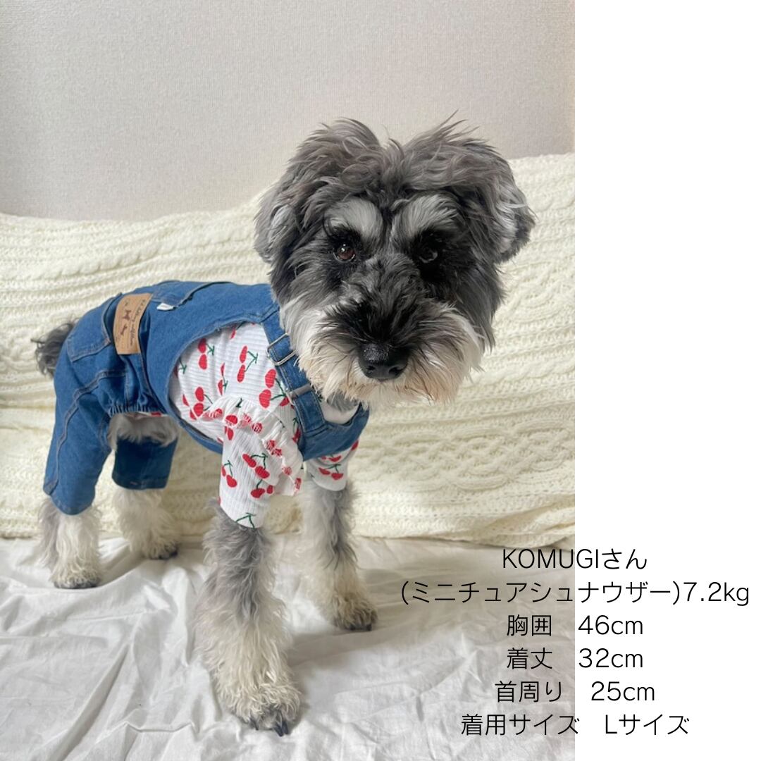 gelato piqué ジェラートピケ 上下セット シュナウザー