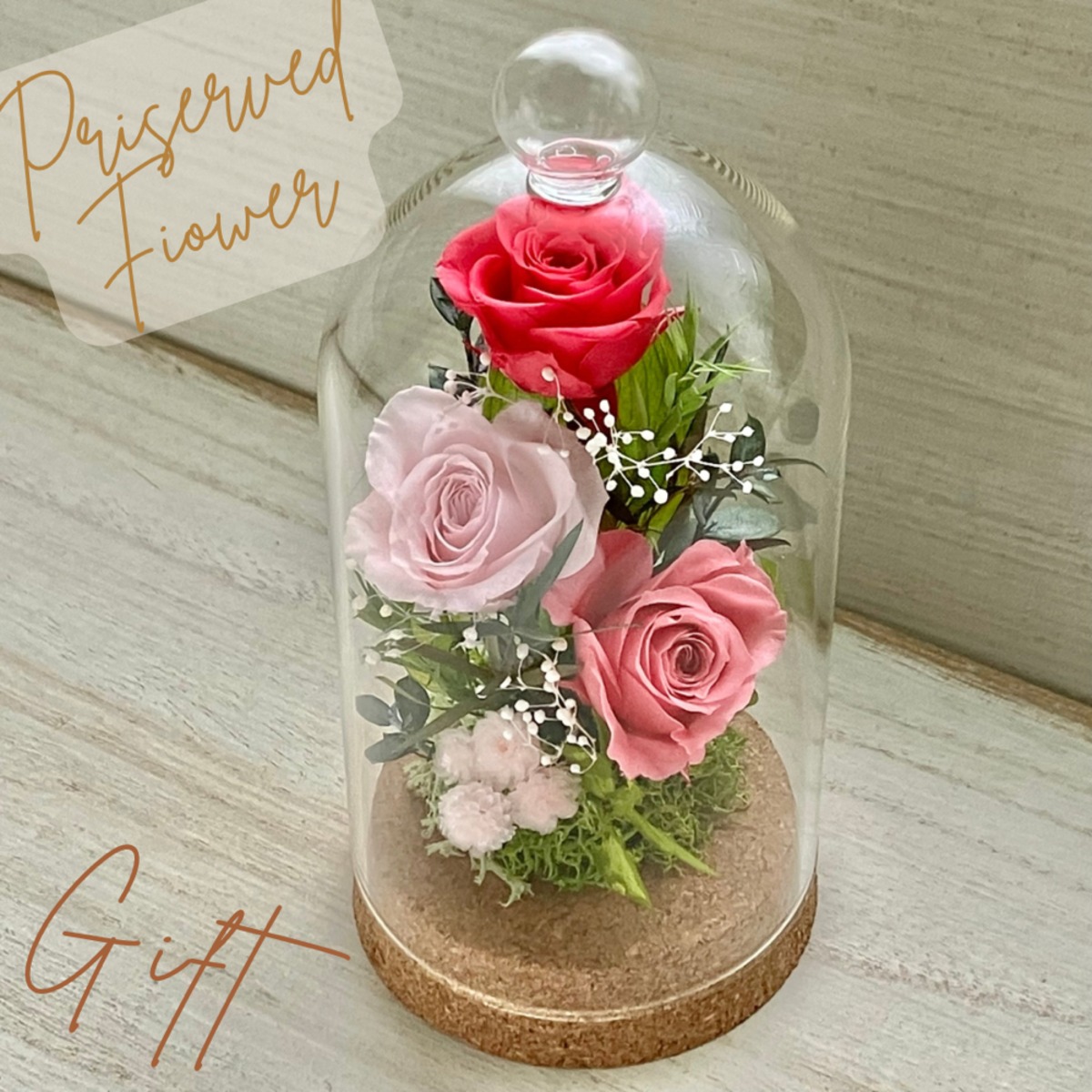 9a31fd80aab96fe491b4b5bed5fe12