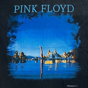 13170 PINK FLOYD ピンクフロイド ロックバンド　Tシャツ L