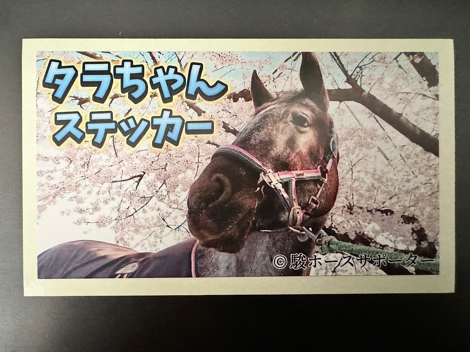 定期便】タラちゃん1ヶ月定期サポート | 駿ホースサポーター