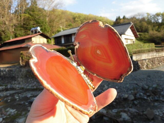 【瑪瑙】　ゴージャス蝶々　no.2