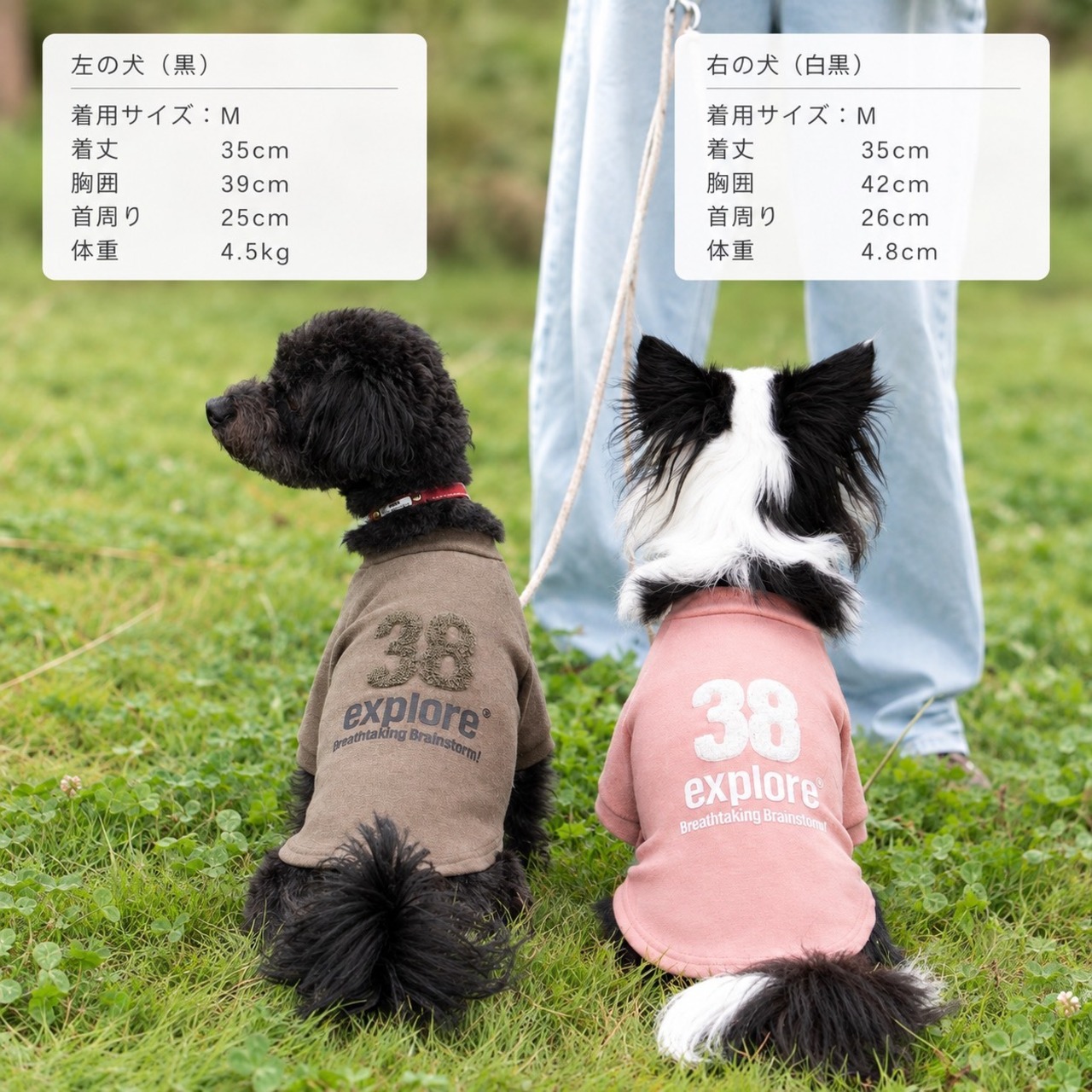 38DOG LOGO EMBROIDERY TEE / KAHKI