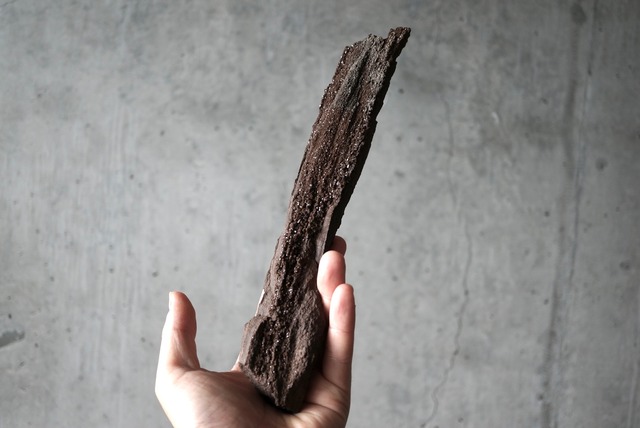 特大ドイツ産ドゥルージーペトリファイドウッド 242mm　Petrified Wood / Quartz　1173