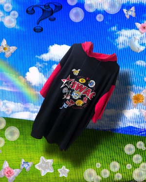 2000s SWAC BIG HOODIE