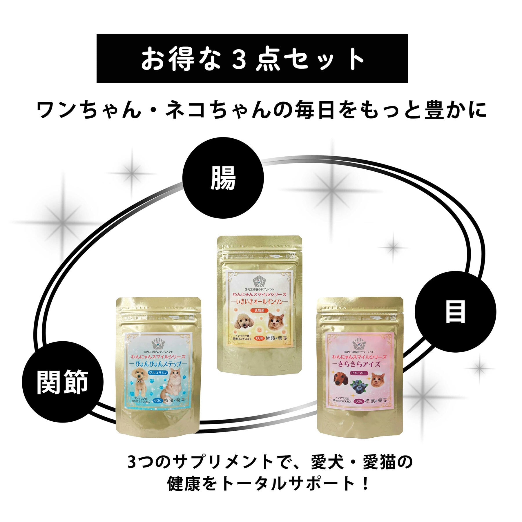 定期便】わんにゃんスマイルシリーズ きらきらアイズ（ビルベリー