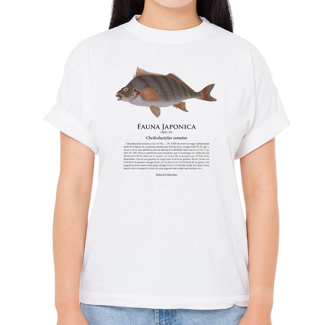 【タカノハダイ】シーボルトコレクション魚譜Tシャツ（高解像・昇華プリント）