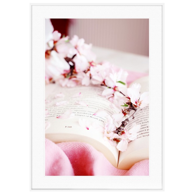 花写真 桜と本 インテリアアートポスター額装 AS2746