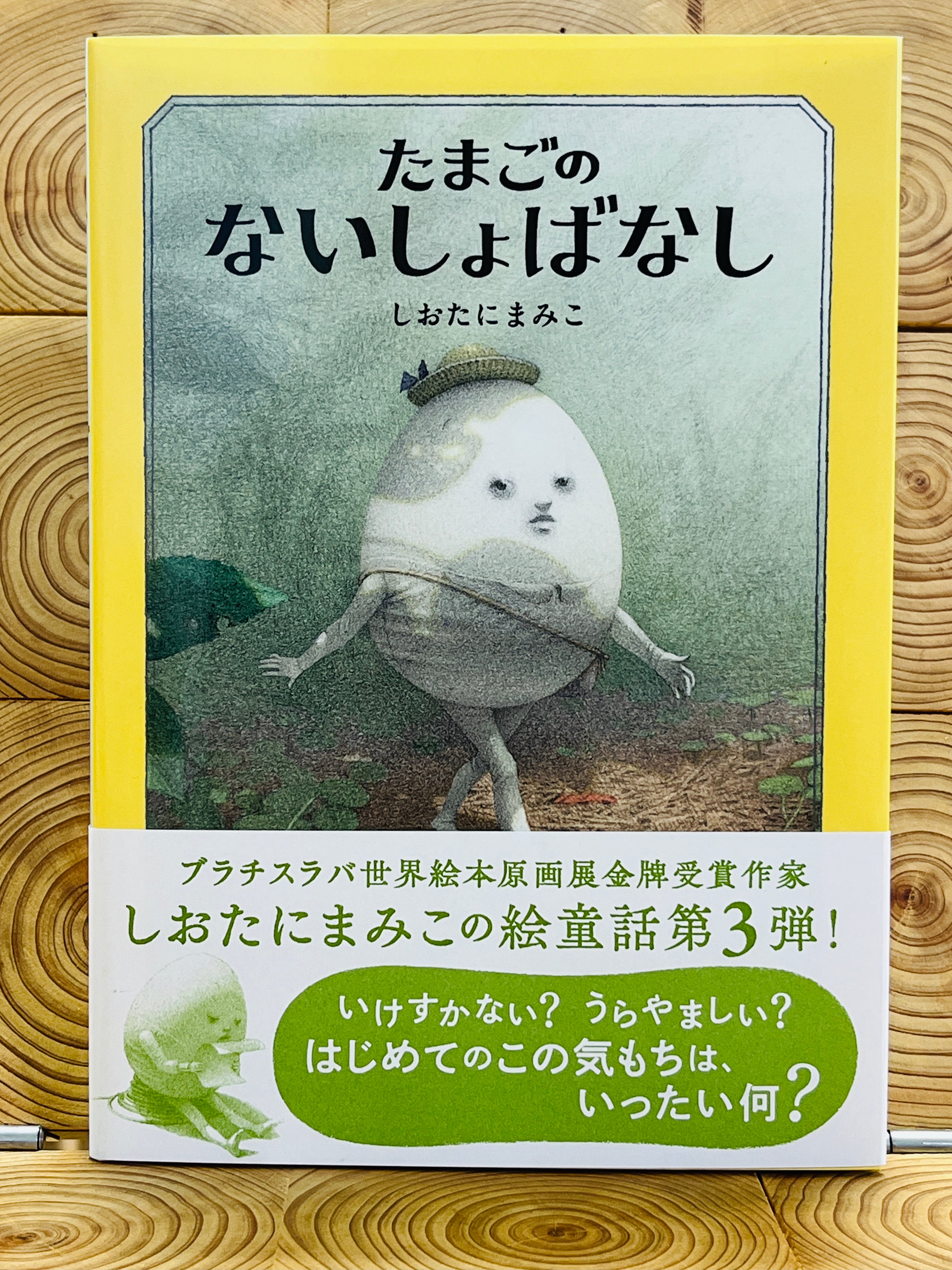 新版】アイスランド サガ | 冒険研究所書店