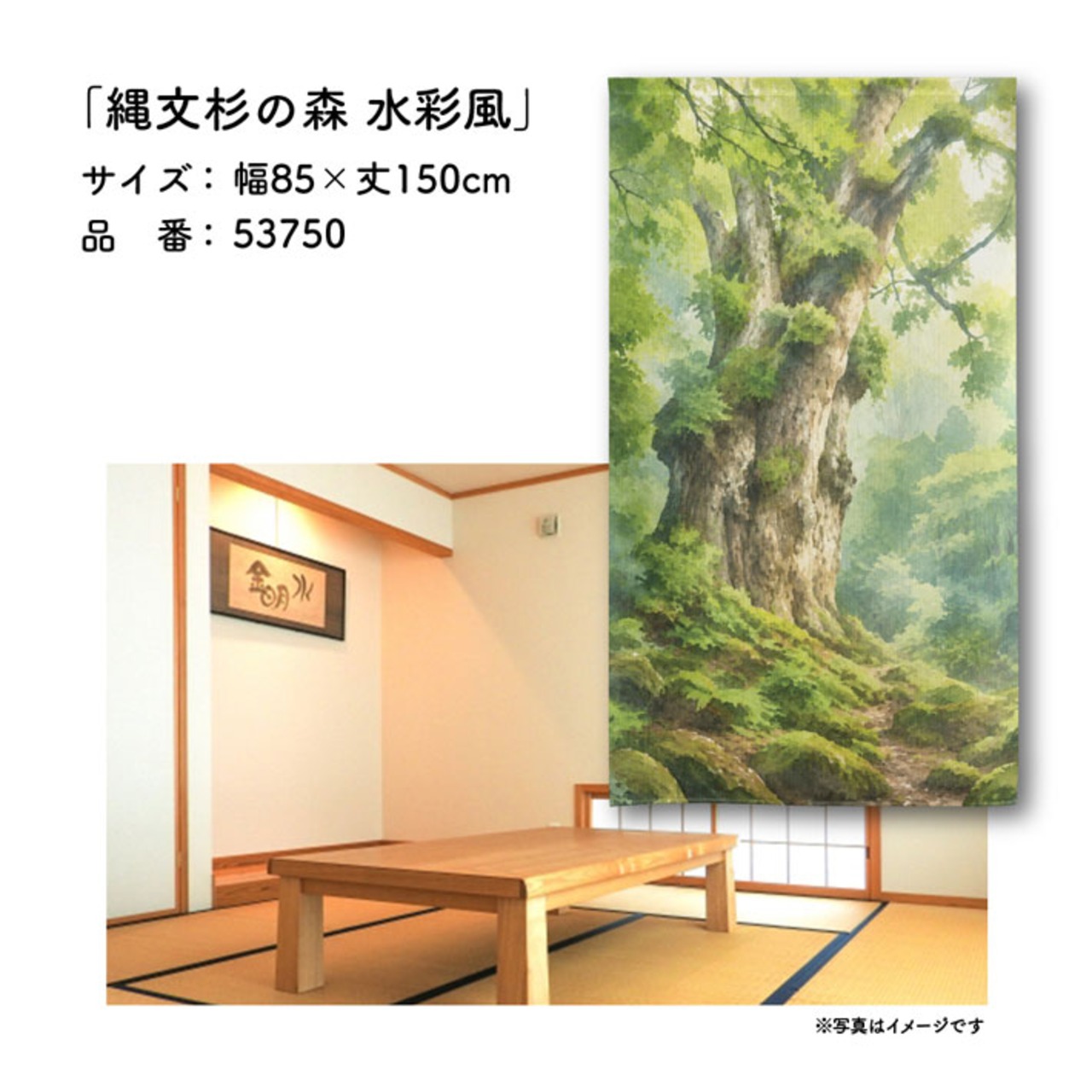 【受注生産】のれん 縄文杉の森 水彩風 85×150cm 53750
