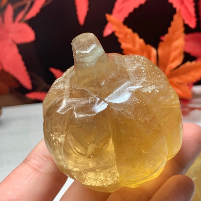 7.かぼちゃ・フローライト