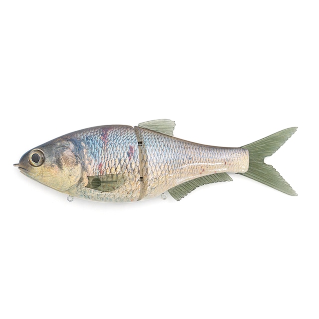 86Baits / Sentinel #Red Ear | modeB Trading