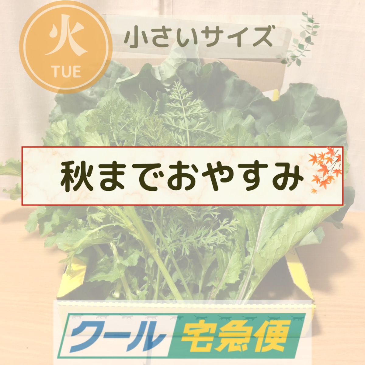 秋までおやすみ】＜クール便・火曜日発送＞【小さいサイズ】季節のお