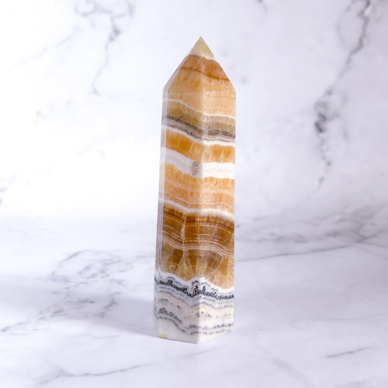 デンドリティックオレンジカルサイト タワーA