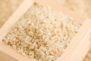 減農薬栽培米「滋賀県産 棚田米 きぬひかり」玄米5kg