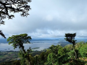 ニカラグア サンホセ イエローパカマラ 中浅煎り 200g