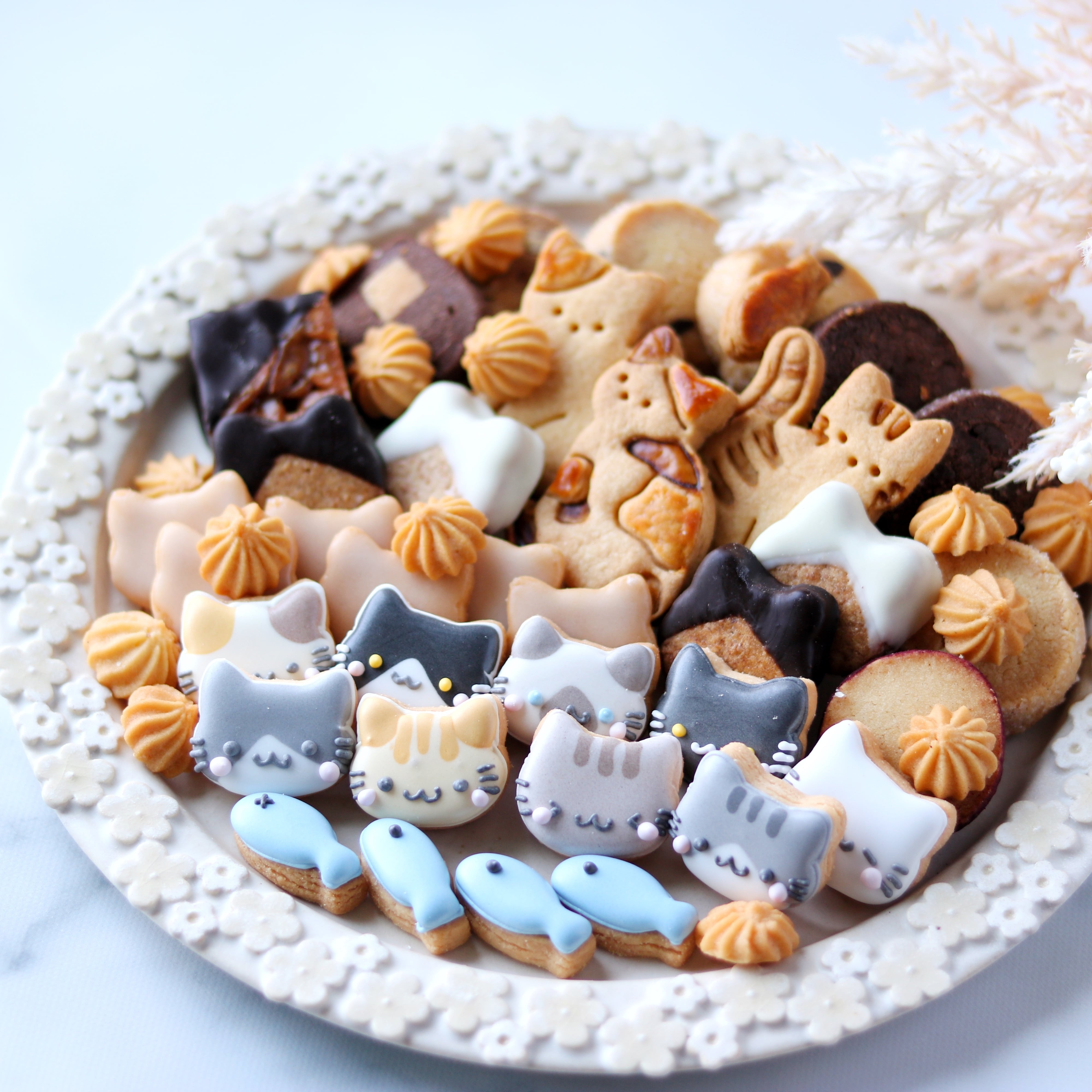 ねこまみれクッキーBOX【抽選】 | もりのおかしやさん