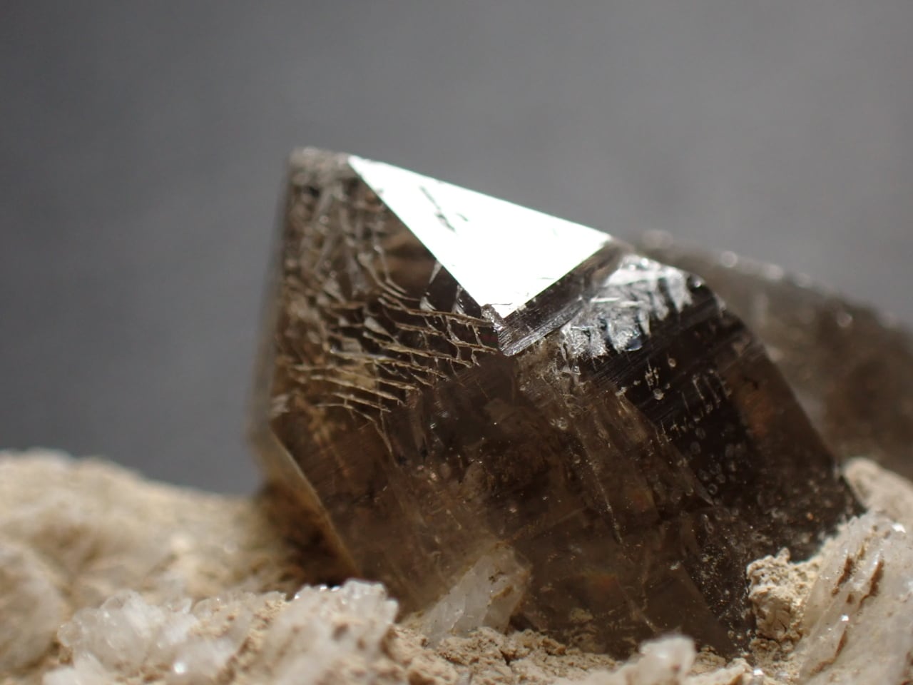 山梨県 黒平産 煙水晶/Smoky Quartz 原石 A-SMK177 | 鉱物・天然石のお