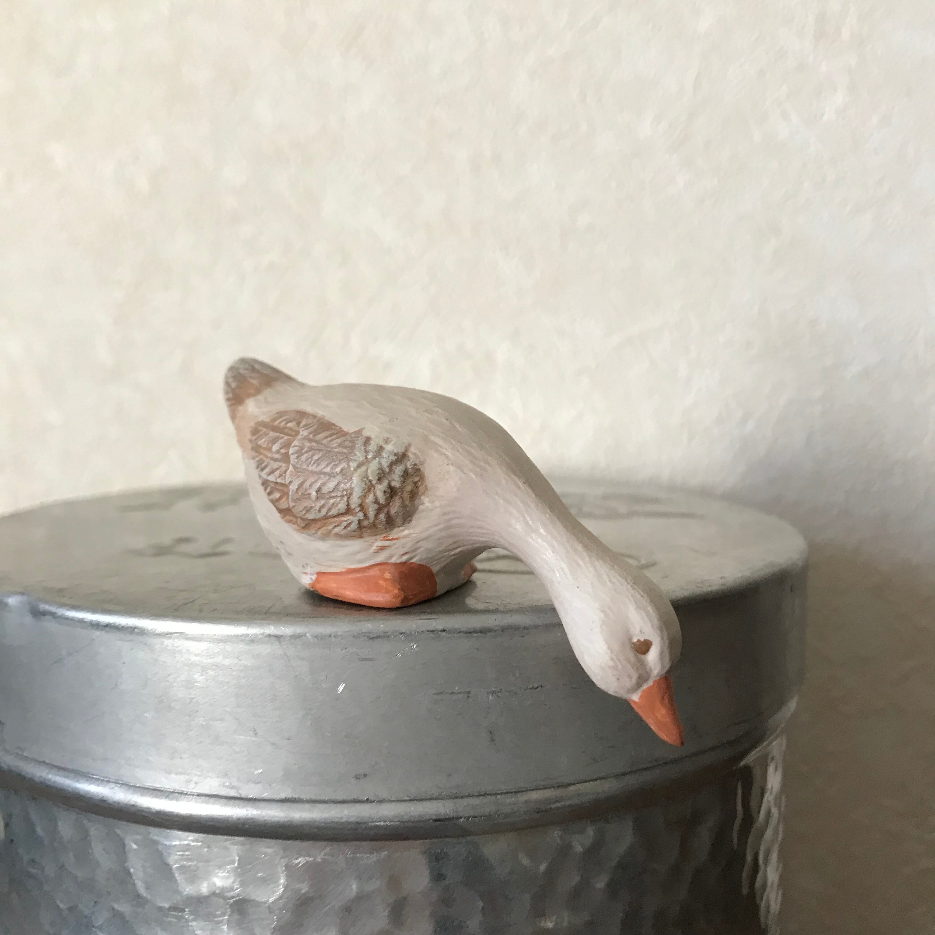 下を覗き見る白鳥