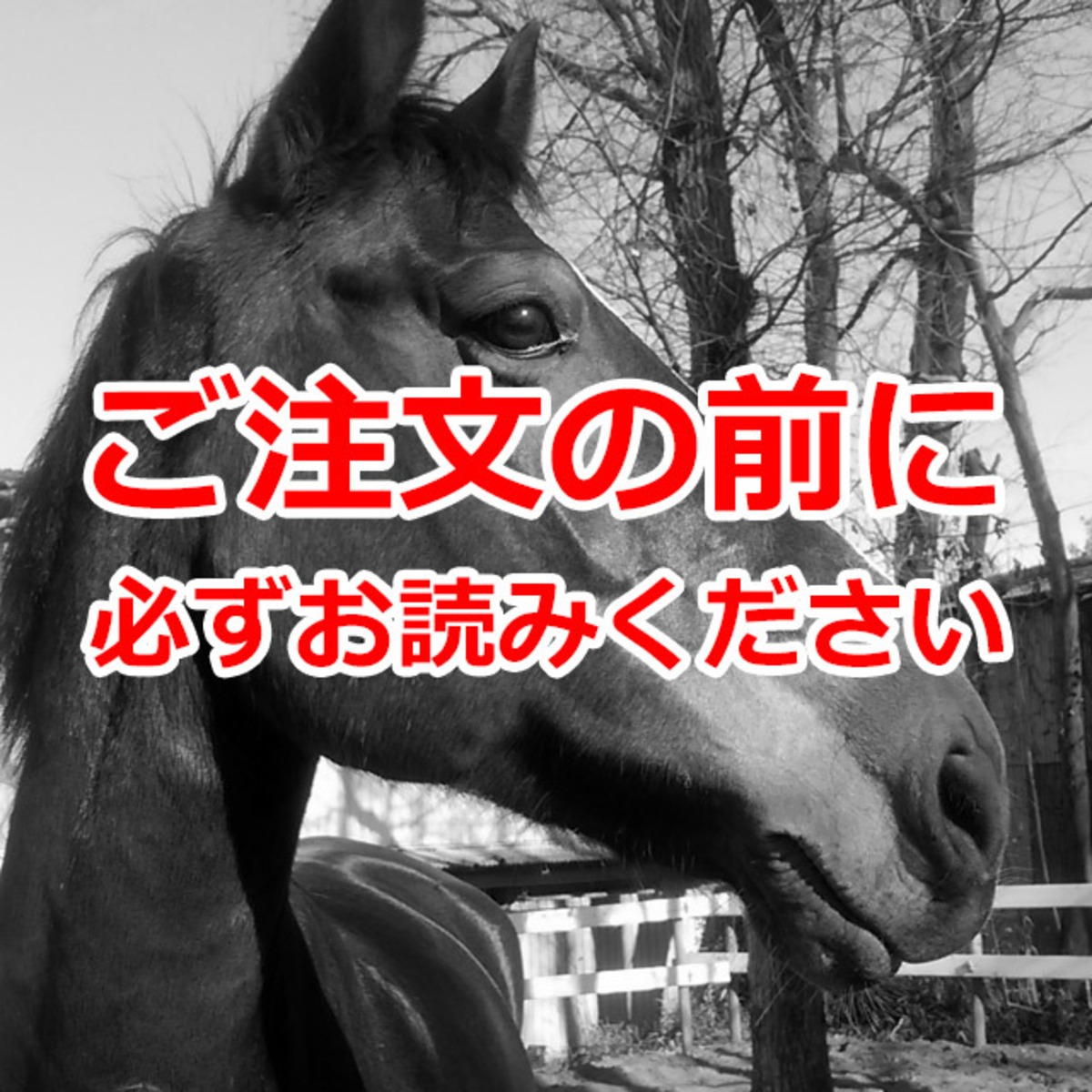 ご注文の前に必ずお読みください／配送・送料・お支払いなどのご案内 