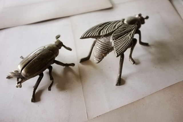 France vintage 13c  永遠の硬化と黄金虫のトレイ