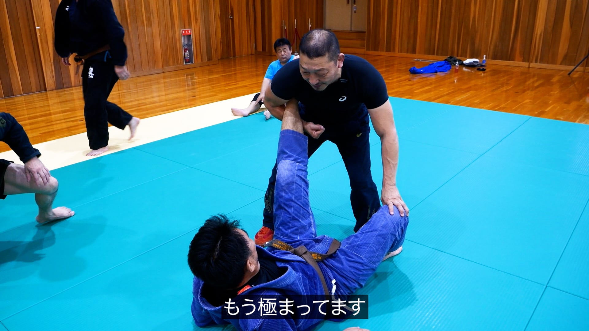 初回20％OFF！ 足立弘成 サンボ基礎講習 足関節編 動画版（vimeo版