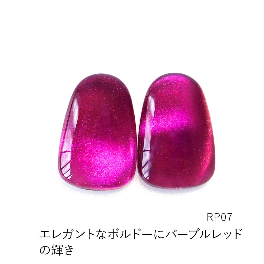 全色セット特典付 全色セット特典付 マグネットネイル 水光ネイル