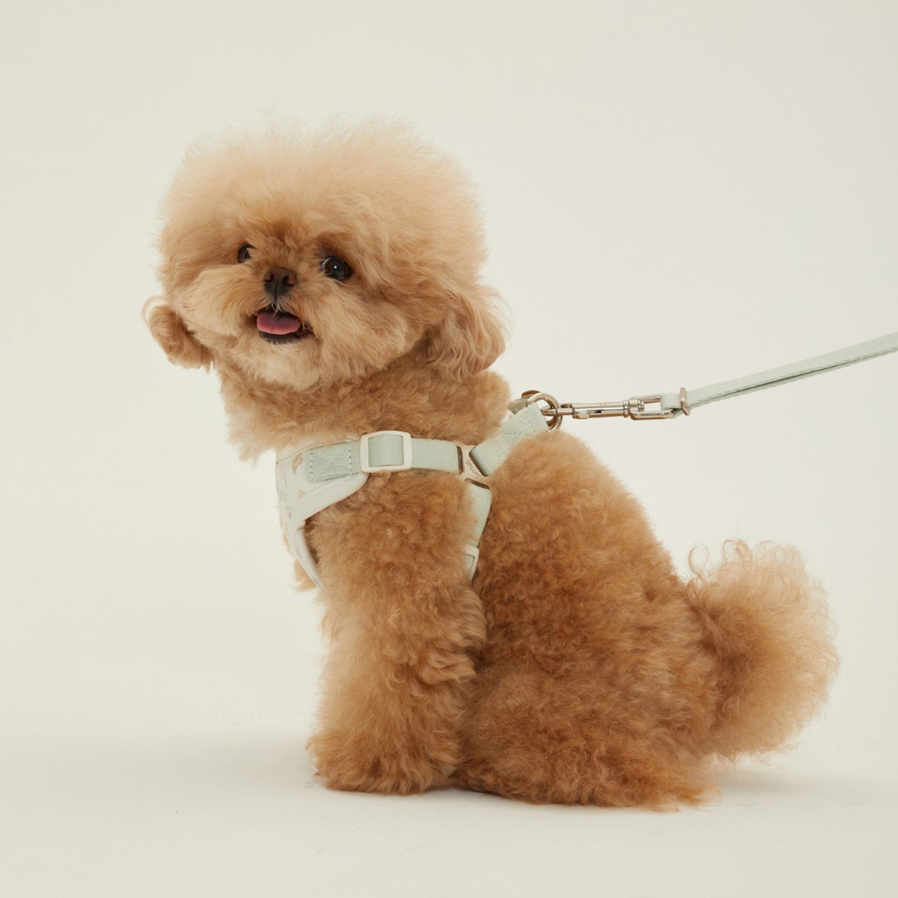 【予約】[ thesallyslaw ] Bailey cushioning harness｜Milk Pistachio - 14