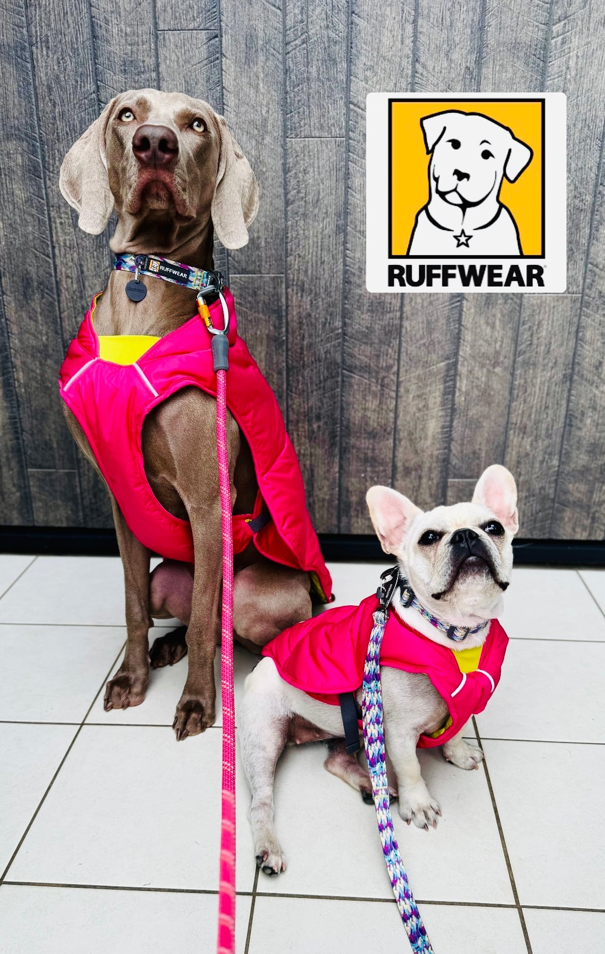 9a5e06a729f11eb89d93197b882bb5