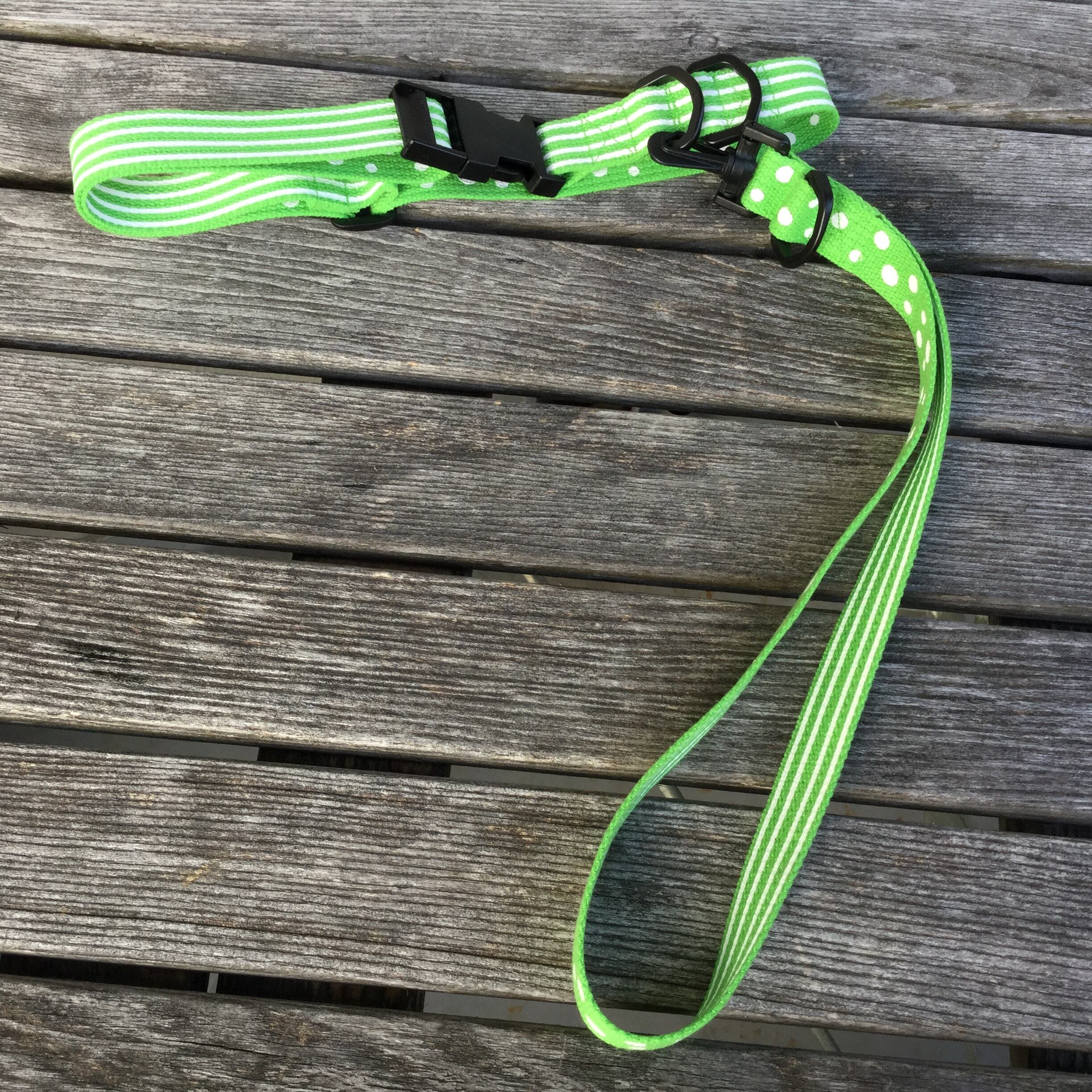 首輪とショートリード グリーンボーダー