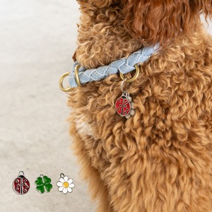 【Hoippo MyFamily】PET ID TAG 名入れ CHARMS - 3種類 - 迷子札