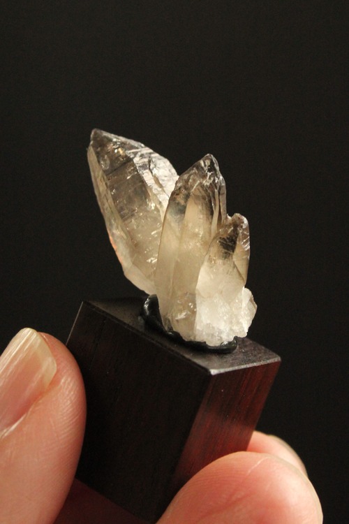 【223007】宮崎スモーキー ローズウッドキューブ大