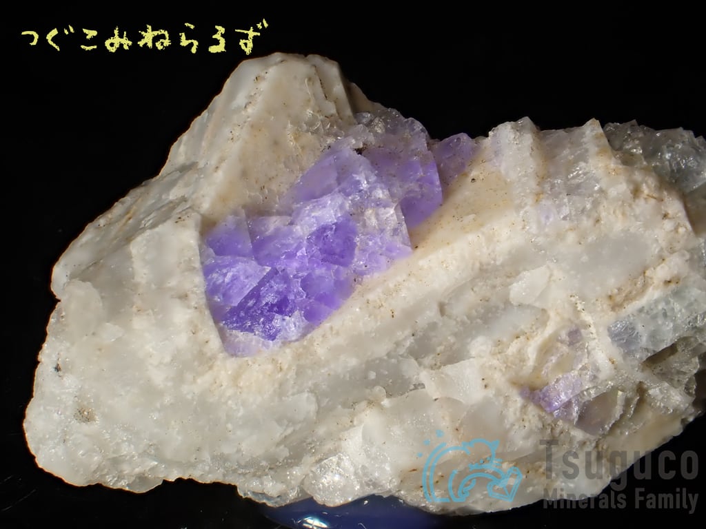 フローライト 蛍石 Fluorite 岐阜県 TM-0006