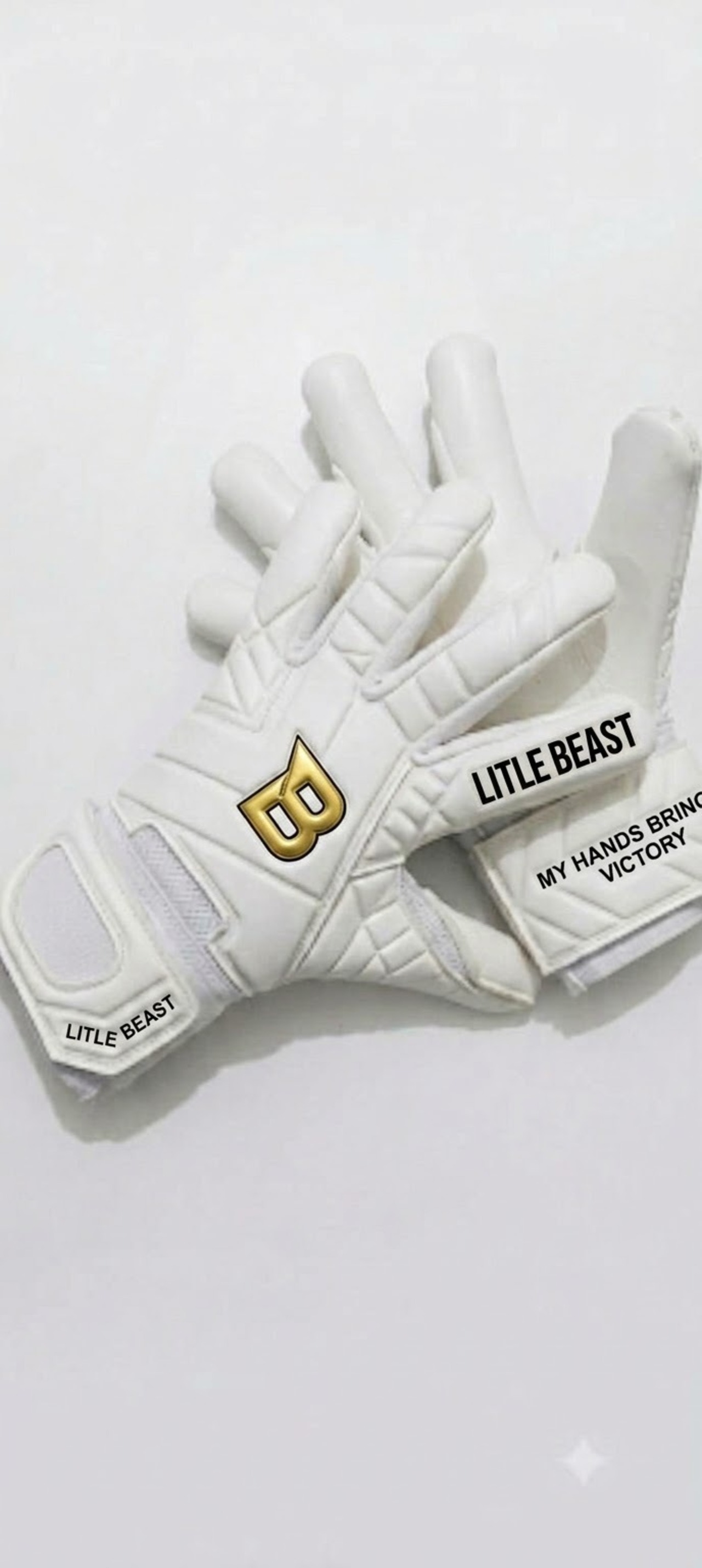 L1TLE BEAST史上もっとも売れた伝説のモデルが、さらなる進化を遂げて新登場。B-STRIKE NEO】simple line