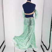 【ベリーダンス用 オリエンタル衣装】ライトグリーン スパンコールラメ 豪華 緑 シルバー フリル 光沢 花柄 華やか 綺麗