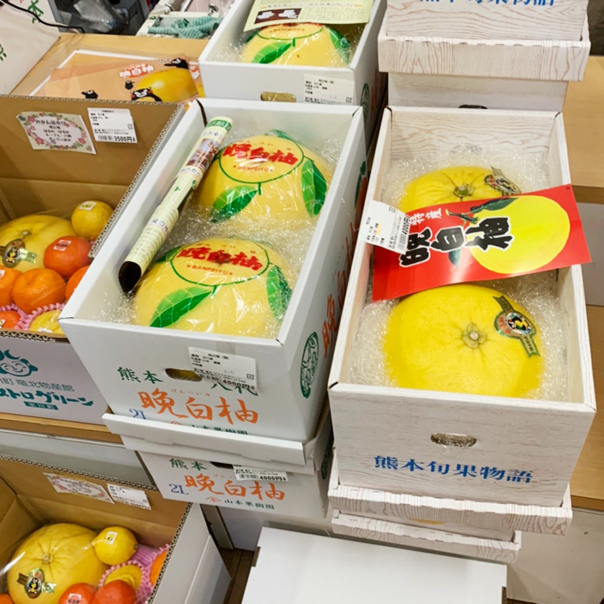 晩 白 柚 値段