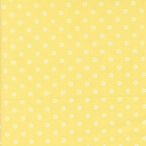 USAコットン サマータイム/サンシャイン　55322-16
