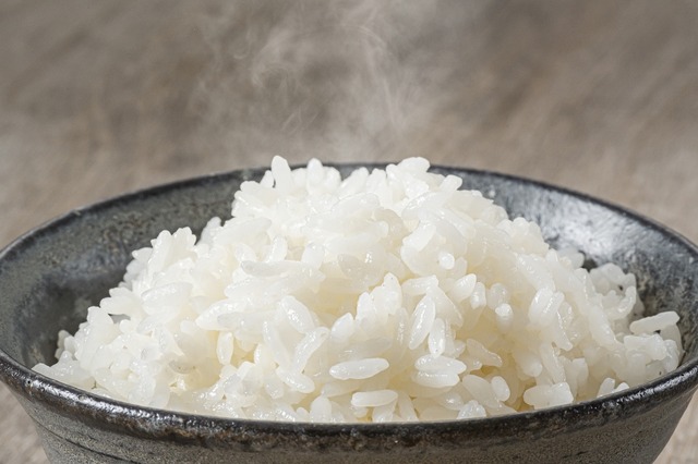 お米【ヒカリ新世紀】5kg　(2026年度新米)