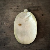 da022 白蝶貝 装飾品