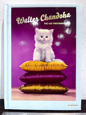 Walter Chandoha  THE CAT PHOTOGRAPHER