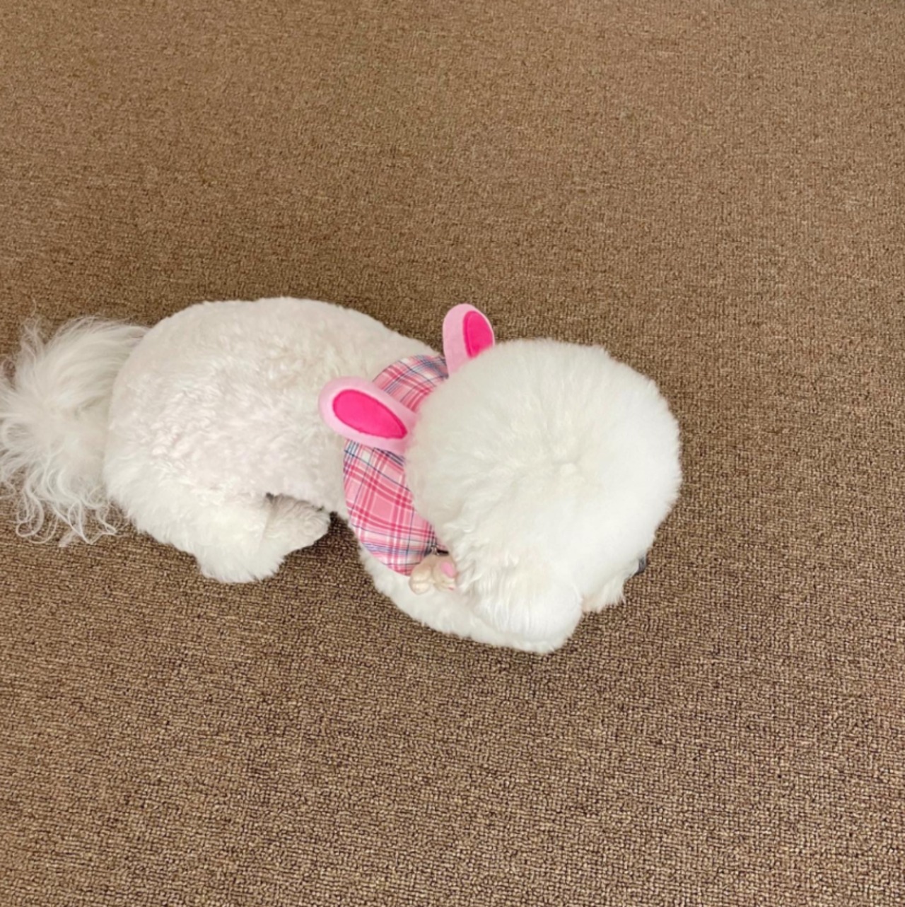 即納【hugmemore】mimi cape pink