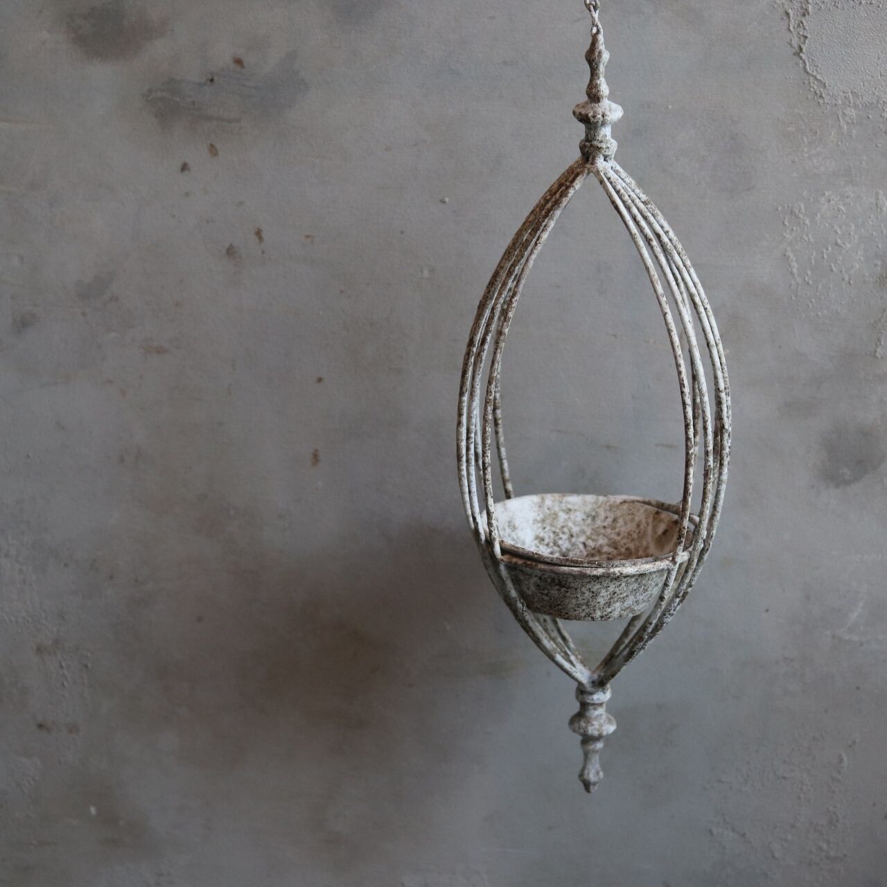 鉢（陶器・ブリキ） | 寄せ植え お花のプレゼント モンディマンシェ