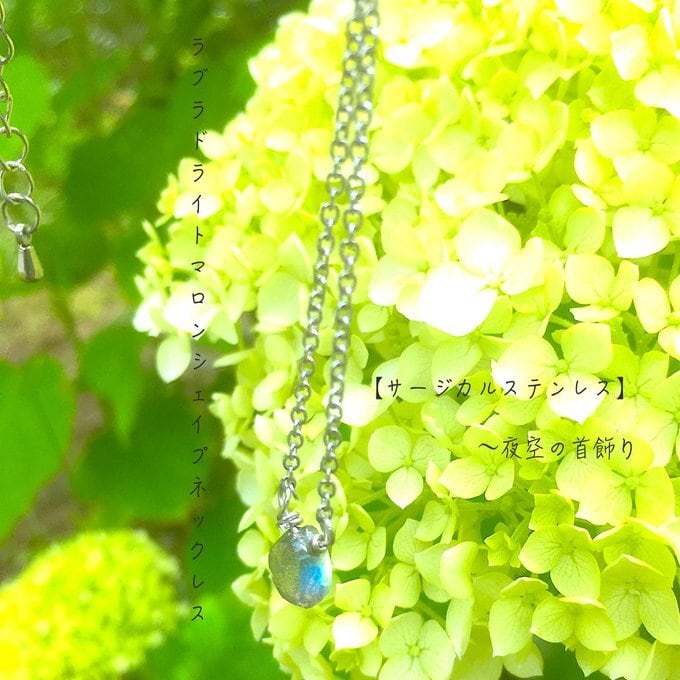【一点物】夜空の首飾り✦⋆.ラブラドライトマロンシェイプネックレス⋆.·サージカルステンレス⋆.·✦