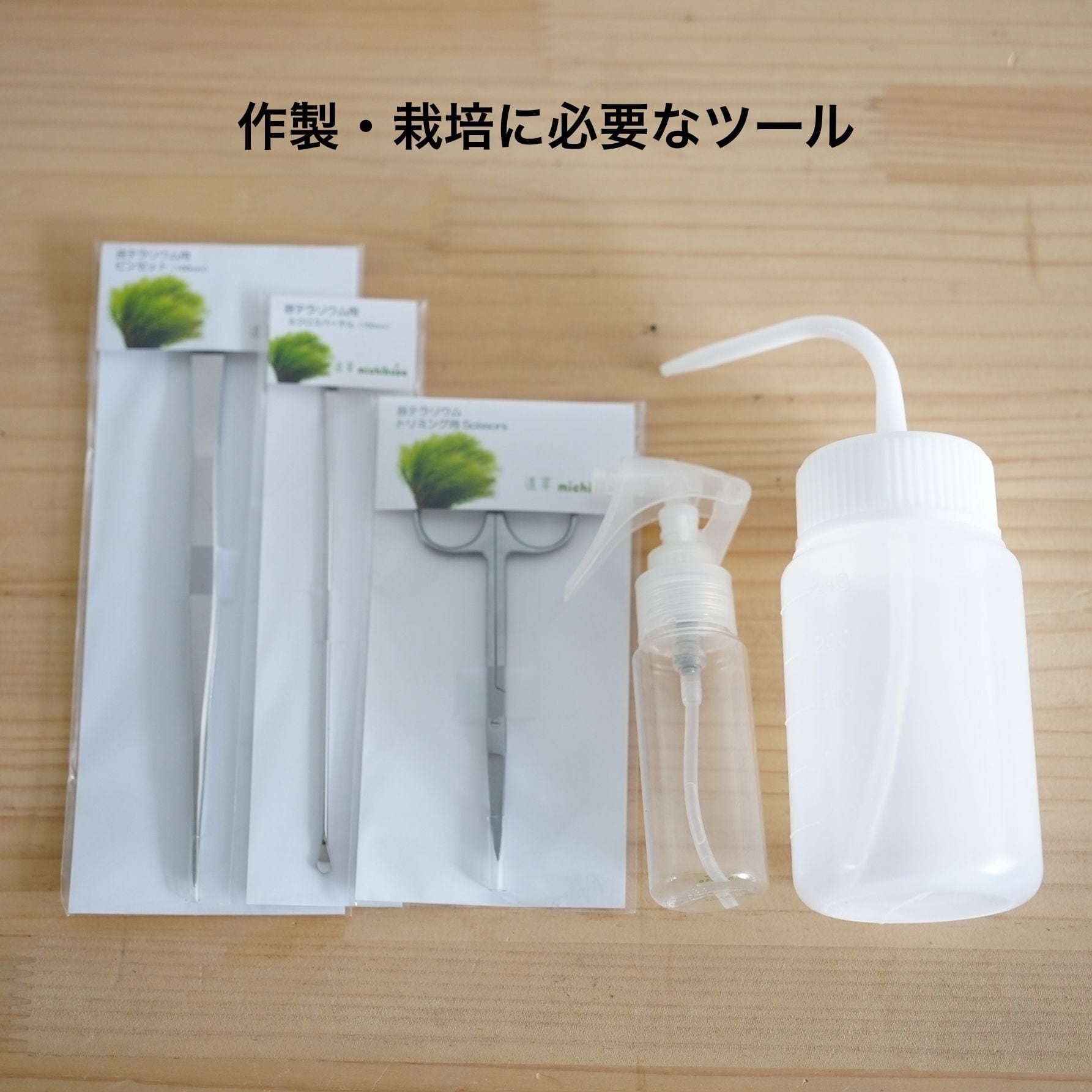 2026母の日限定】はじめての苔テラリウムキット◇必要なツールと本が