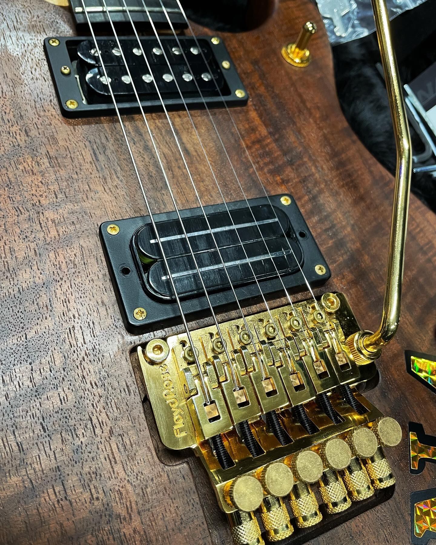 Washburn N4 Walnut.カスタム！ヌーノ Nuno ウォールナット 器材 ...