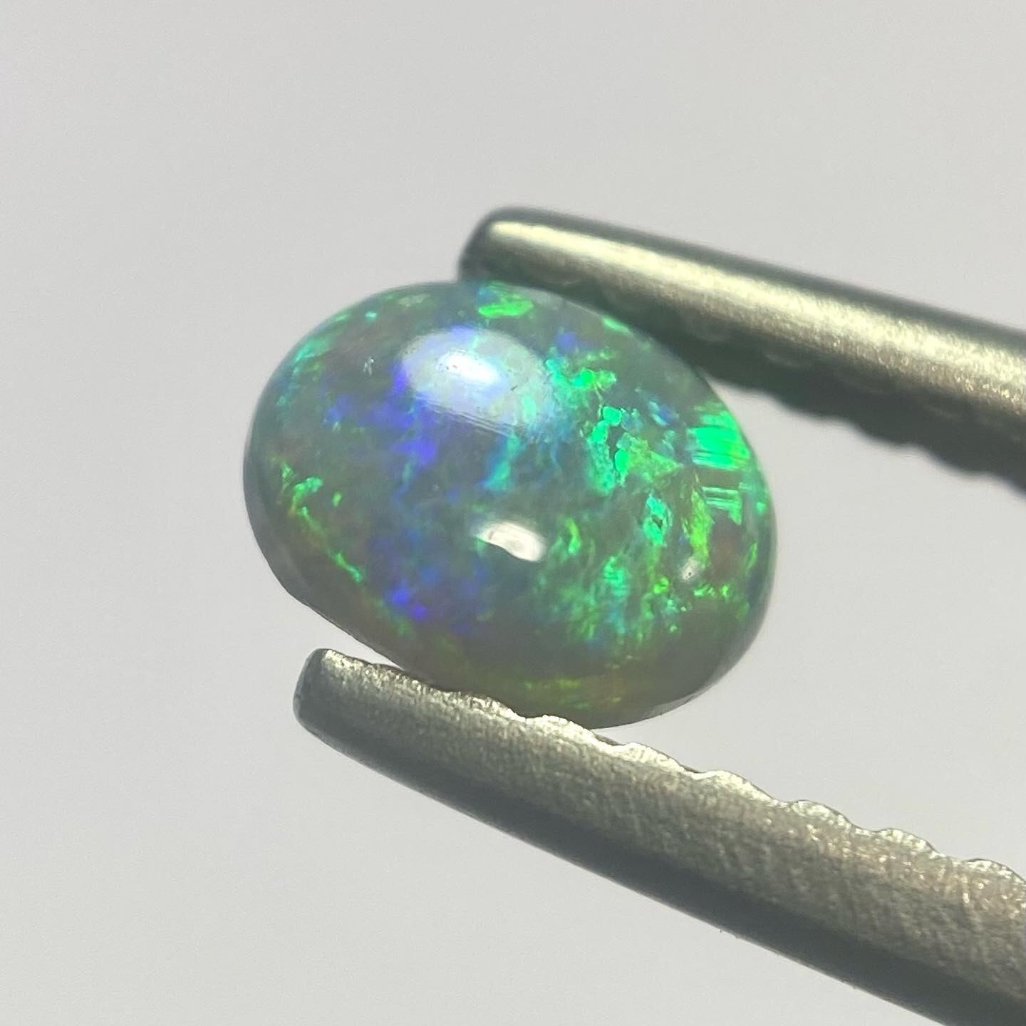 モネの庭 ブラックオパール